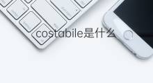 costabile是什么意思 costabile的中文翻译、读音、例句