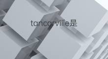 tancarville是什么意思 tancarville的中文翻译、读音、例句