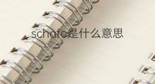 schafe是什么意思 schafe的中文翻译、读音、例句
