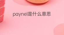 paynel是什么意思 paynel的中文翻译、读音、例句