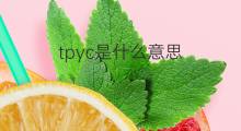 tpyc是什么意思 tpyc的中文翻译、读音、例句