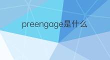 preengage是什么意思 preengage的中文翻译、读音、例句