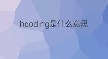 hooding是什么意思 hooding的中文翻译、读音、例句