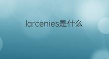 larcenies是什么意思 larcenies的中文翻译、读音、例句
