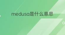 medusa是什么意思 medusa的中文翻译、读音、例句