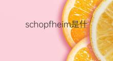 schopfheim是什么意思 schopfheim的中文翻译、读音、例句