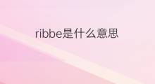 ribbe是什么意思 ribbe的中文翻译、读音、例句