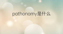 pathonomy是什么意思 pathonomy的中文翻译、读音、例句