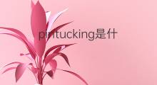 pintucking是什么意思 pintucking的中文翻译、读音、例句