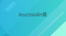 leucosialin是什么意思 leucosialin的中文翻译、读音、例句