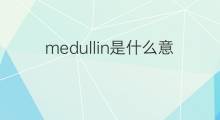 medullin是什么意思 medullin的中文翻译、读音、例句