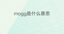 mogg是什么意思 mogg的中文翻译、读音、例句