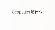 acapsular是什么意思 acapsular的中文翻译、读音、例句