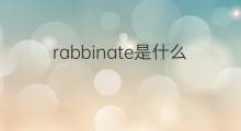 rabbinate是什么意思 rabbinate的中文翻译、读音、例句