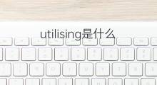 utilising是什么意思 utilising的中文翻译、读音、例句