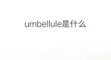 umbellule是什么意思 umbellule的中文翻译、读音、例句