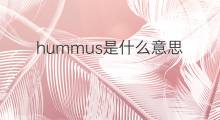 hummus是什么意思 hummus的中文翻译、读音、例句