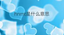 hnmt是什么意思 hnmt的中文翻译、读音、例句