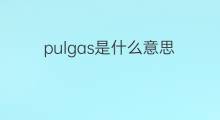 pulgas是什么意思 pulgas的中文翻译、读音、例句