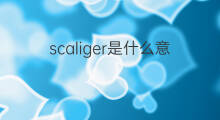 scaliger是什么意思 scaliger的中文翻译、读音、例句