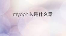 myophily是什么意思 myophily的中文翻译、读音、例句