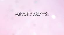 valvatida是什么意思 valvatida的中文翻译、读音、例句