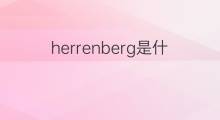 herrenberg是什么意思 herrenberg的中文翻译、读音、例句