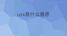 usx是什么意思 usx的中文翻译、读音、例句