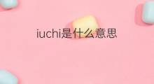 iuchi是什么意思 iuchi的中文翻译、读音、例句
