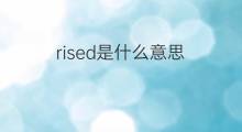 rised是什么意思 rised的中文翻译、读音、例句