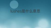lushes是什么意思 lushes的中文翻译、读音、例句