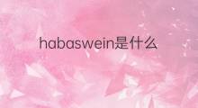 habaswein是什么意思 habaswein的中文翻译、读音、例句