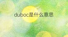 duboc是什么意思 duboc的中文翻译、读音、例句