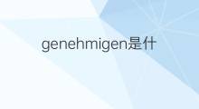 genehmigen是什么意思 genehmigen的中文翻译、读音、例句