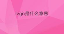 ivgn是什么意思 ivgn的中文翻译、读音、例句