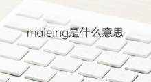 maleing是什么意思 maleing的中文翻译、读音、例句