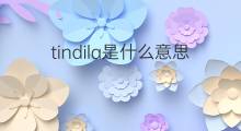 tindila是什么意思 tindila的中文翻译、读音、例句