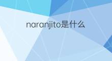 naranjito是什么意思 naranjito的中文翻译、读音、例句