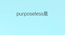 purposeless是什么意思 purposeless的中文翻译、读音、例句