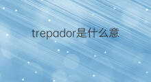 trepador是什么意思 trepador的中文翻译、读音、例句