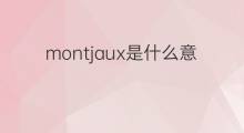 montjaux是什么意思 montjaux的中文翻译、读音、例句