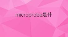 microprobe是什么意思 microprobe的中文翻译、读音、例句