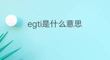 egti是什么意思 egti的中文翻译、读音、例句