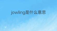 jowling是什么意思 jowling的中文翻译、读音、例句