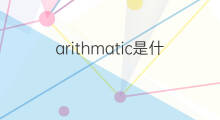 arithmatic是什么意思 arithmatic的中文翻译、读音、例句