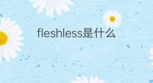 fleshless是什么意思 fleshless的中文翻译、读音、例句