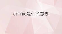 aarnio是什么意思 aarnio的中文翻译、读音、例句