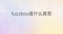 fuzzbox是什么意思 fuzzbox的中文翻译、读音、例句