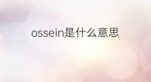 ossein是什么意思 ossein的中文翻译、读音、例句