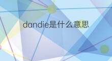 dandie是什么意思 dandie的中文翻译、读音、例句